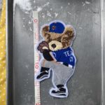 baseballbearWP